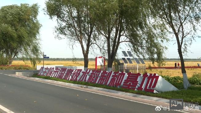 公主岭有网站搭建吗