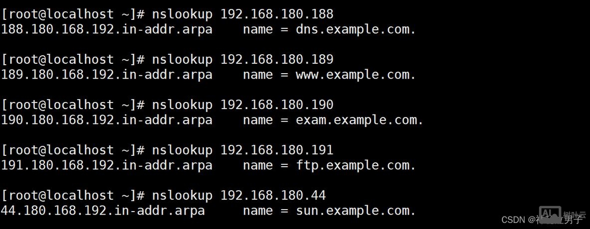 搭建网站dns哪个好