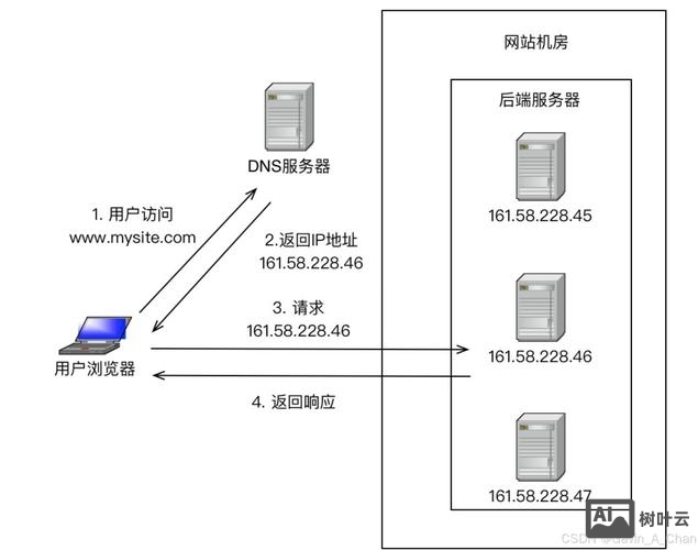 搭建网站dns哪个好