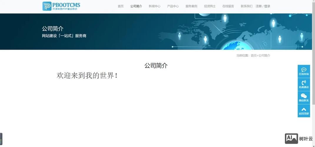 阿里云ecs 搭建网站