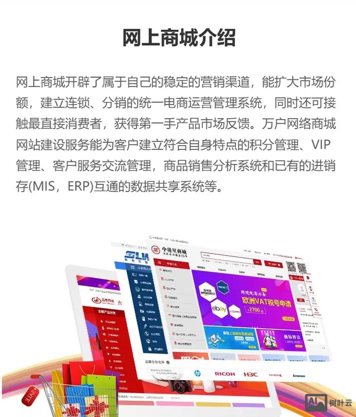 官方网站商城搭建