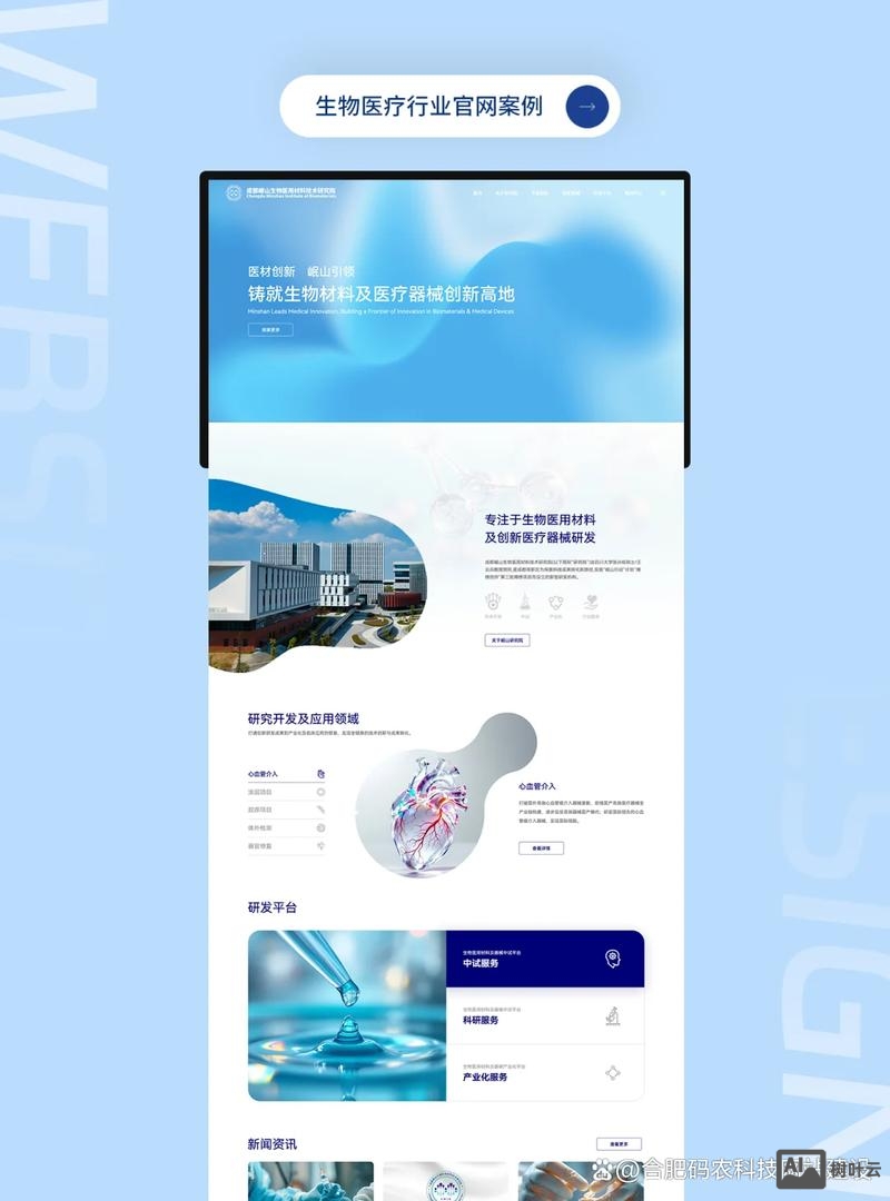 合肥网站搭建公司哪家好