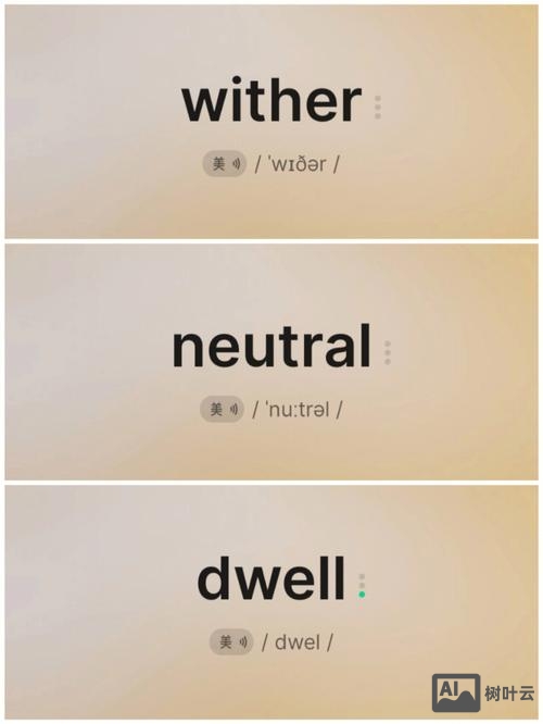 你姓什么用英文如何表示