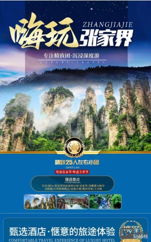 张家界网站搭建