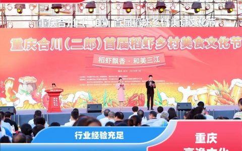 重庆企业公众号搭建，重庆企业公众号搭建，如何高效低成本实现？