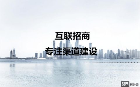 招商网站搭建企业，招商网站搭建企业，如何快速提升转化率？