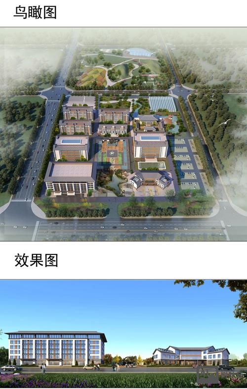 聊城搭建网站