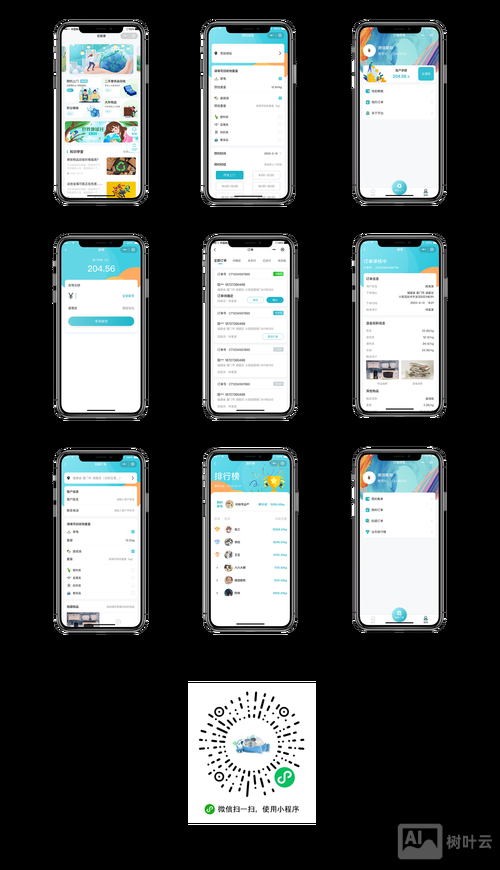 软件应用网站搭建