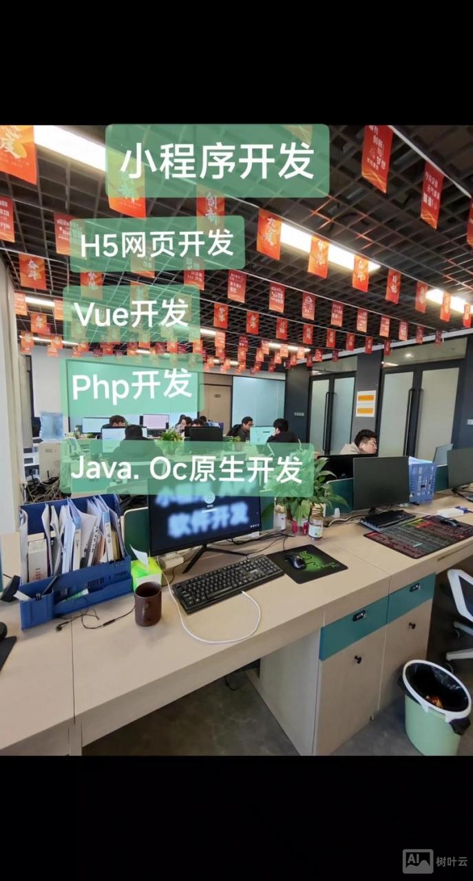 网站搭建软件开发