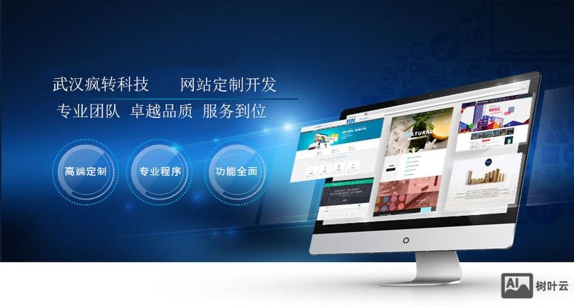 网站搭建软件开发