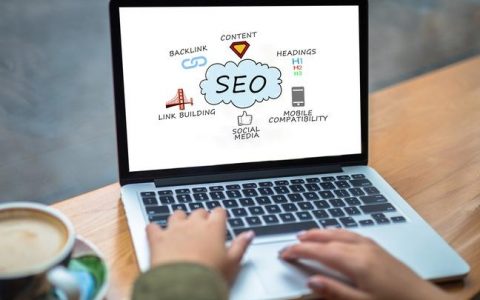 搭建网站seo，搭建网站SEO如何快速提升自然搜索流量？