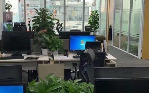 重庆公众号搭建公,重庆公众号搭建如何快速启动运营?