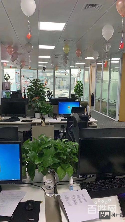 重庆公众号搭建公