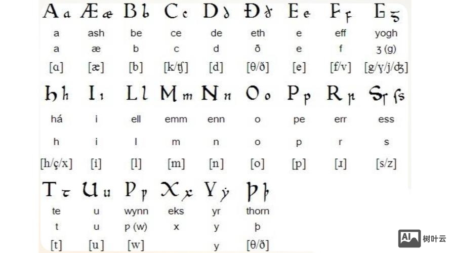 二十四十英语字母如何