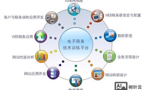 企业网搭建市场,企业网搭建市场未来增长点在哪里?