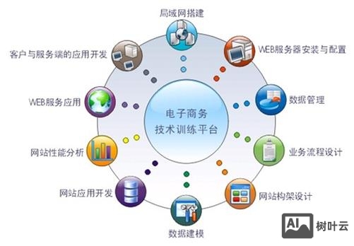 企业网搭建市场