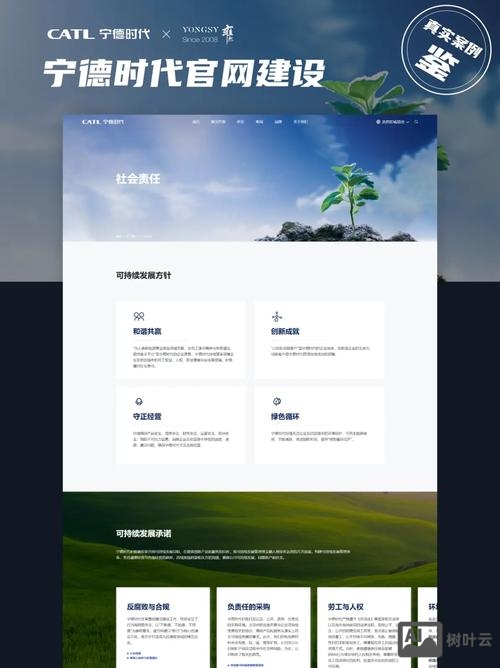 可以搭建分站的网站