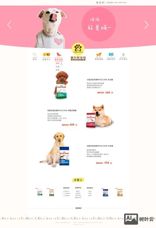 PHP网站搭建注意什么