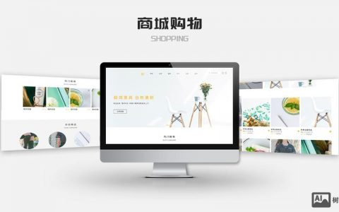 电商网站搭建设，电商网站搭建，核心步骤与关键成本有哪些？