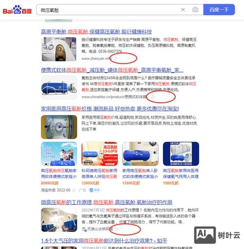 如何能进入百度快照