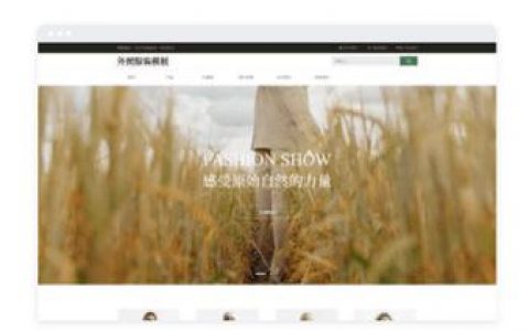 国外营销网站搭建，国外营销网站搭建，如何快速提升转化率？