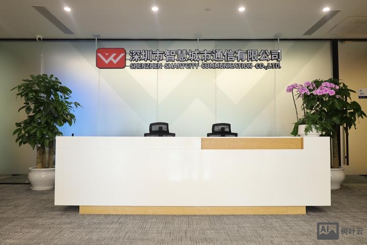 深圳网络搭建公司