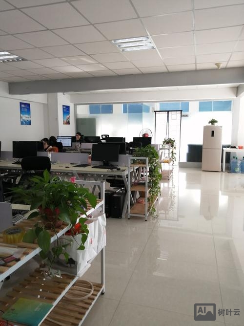 深圳网络搭建公司