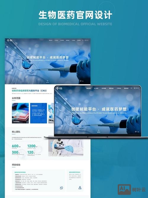 专业官网搭建公司