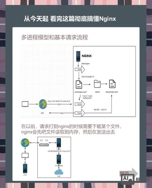 server u搭建ftp教程