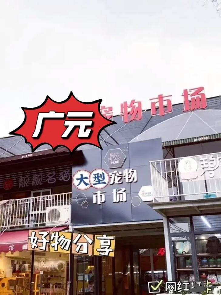 广元微商城搭建好