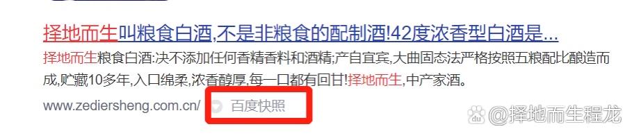 如何做百度快照搜索