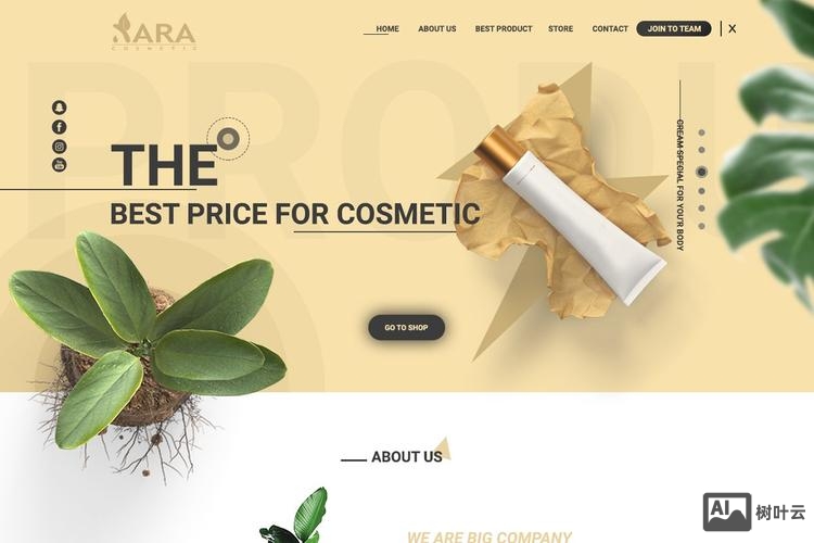 化妆品网站搭建