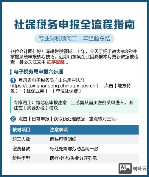如何在金税盘上申报社保