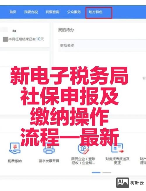 如何在金税盘上申报社保