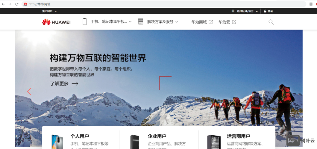 中文网址过期如何续延