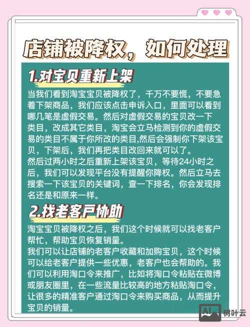 网站被降权改如何解决