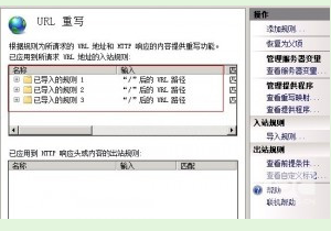 iis7如何设置dz伪静态