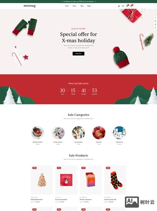 怎么搭建外贸独立站