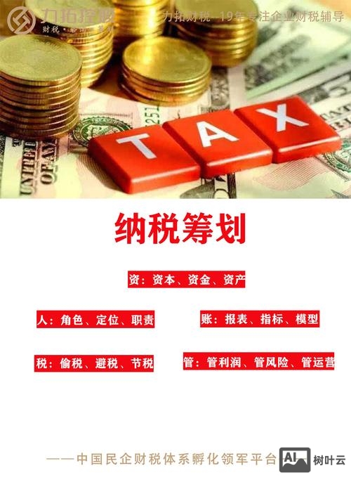 税务筹划团队搭建方案