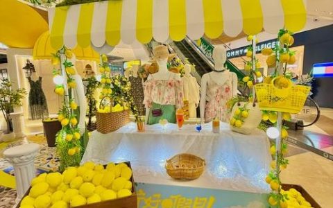 攀枝花商城搭建，攀枝花商城如何高效搭建？