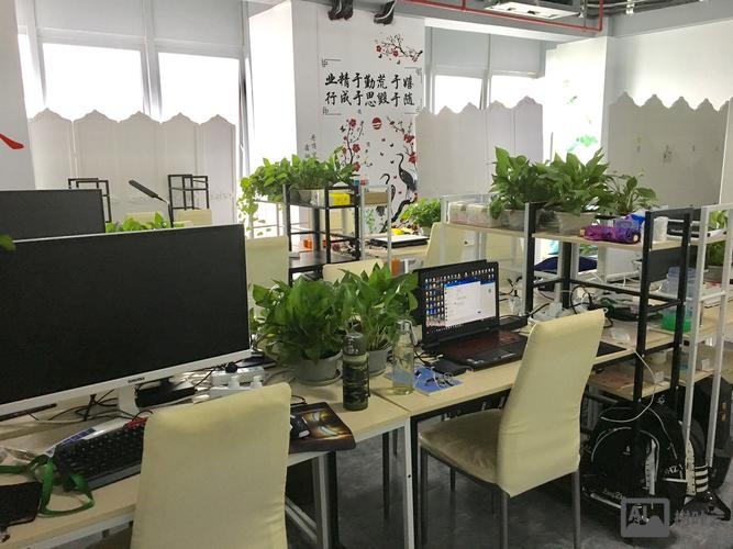 企业网搭建公司