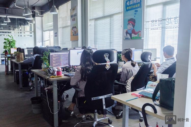 企业网搭建公司