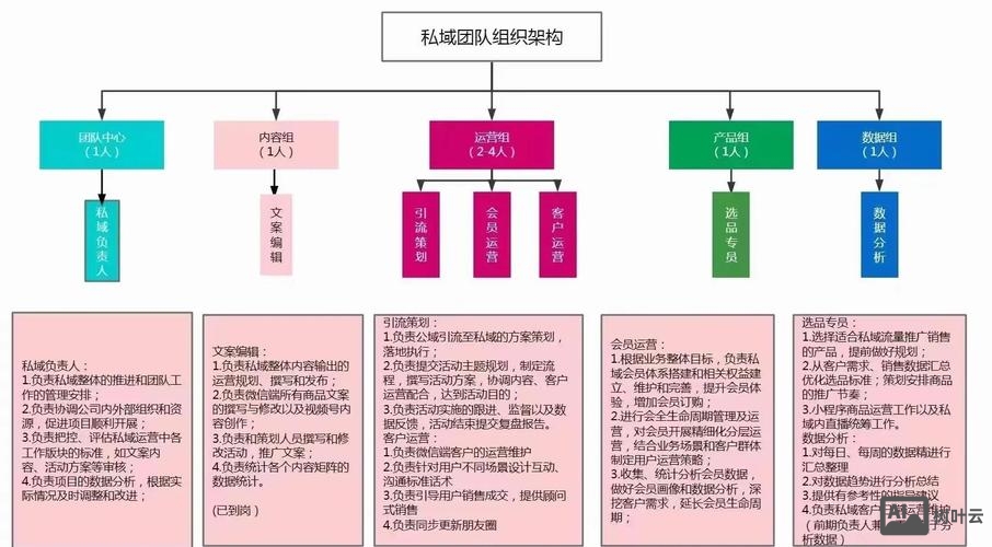 官网运营团队搭建