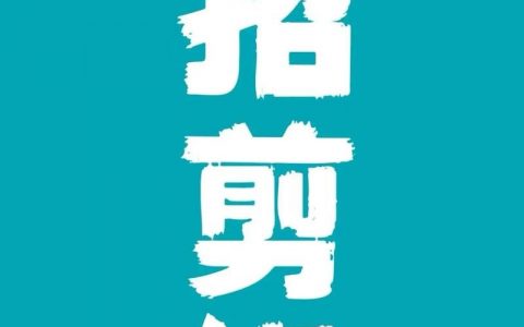 视频算法招聘，视频算法岗，如何匹配能力与需求？