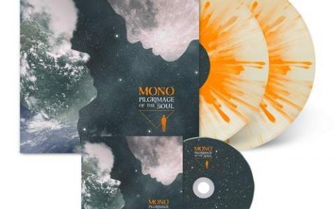 new noise招聘，new noise招聘什么岗位？要求有哪些？