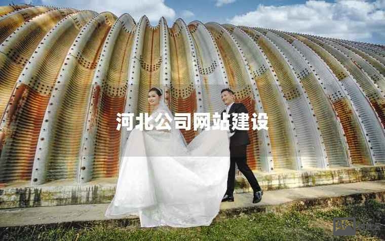 石家庄专业网站搭建