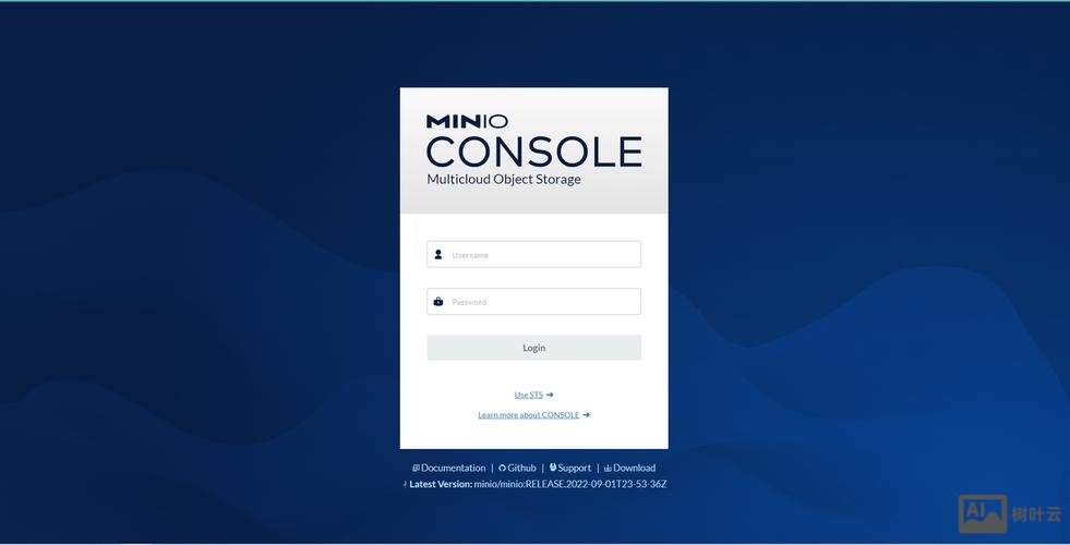 搭建服务器 英文