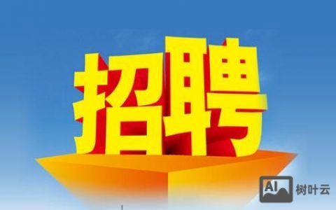 维大师 招聘，维大师招聘，岗位详情速览？