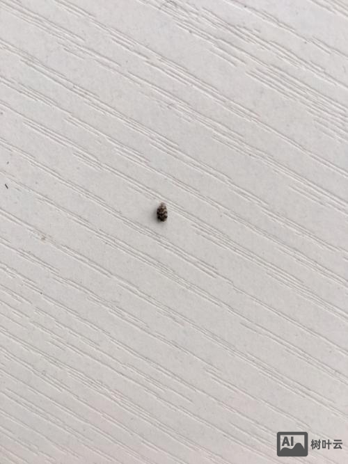 如何把qq在线状态变成灰色