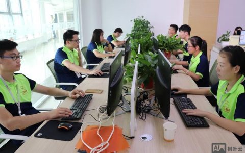 淄博企业网络搭建，淄博企业网络搭建，如何选方案更高效？